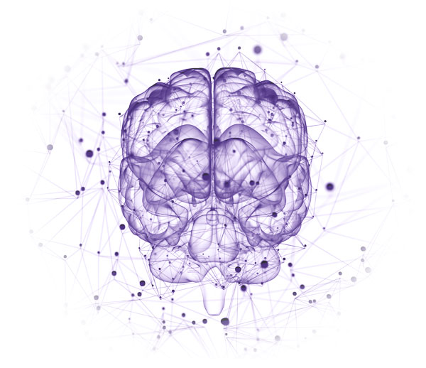 Cerebro