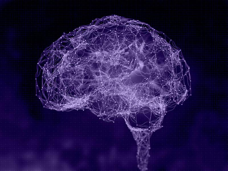 Cerebro