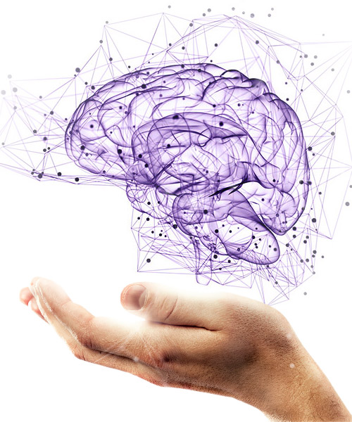 Cognitus Brain